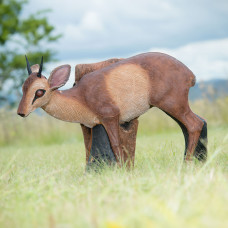 Wildcrete Damara Dik-Dik
